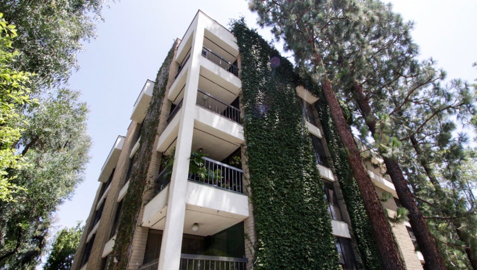 Foxhall Condos, Lofts & Townhomes For Sale Foxhall Real Estate