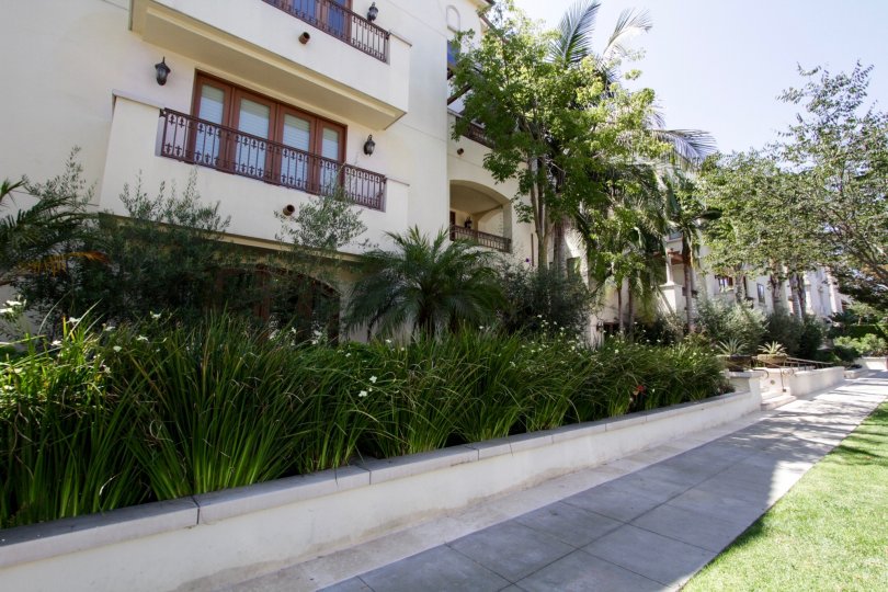 Maison Reeves Condos, Lofts & Townhomes For Sale Maison Reeves Real