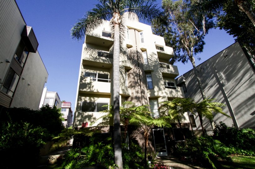 Oakhurst Vista Condos, Lofts & Townhomes For Sale Oakhurst Vista Real