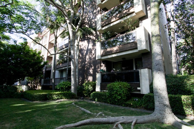 Royal Palms Gardens Condos, Lofts & Townhomes For Sale Royal Palms