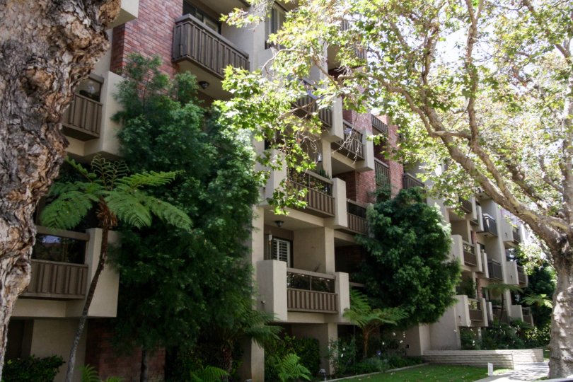 The Linden Condos, Lofts & Townhomes For Sale The Linden Real Estate The Linden, Beverly