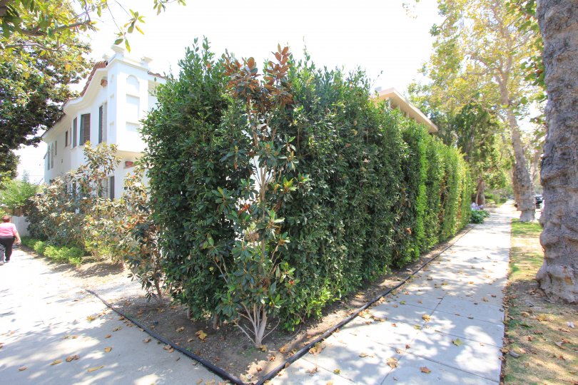 Villa Almont Condos, Lofts & Townhomes For Sale Villa Almont Real