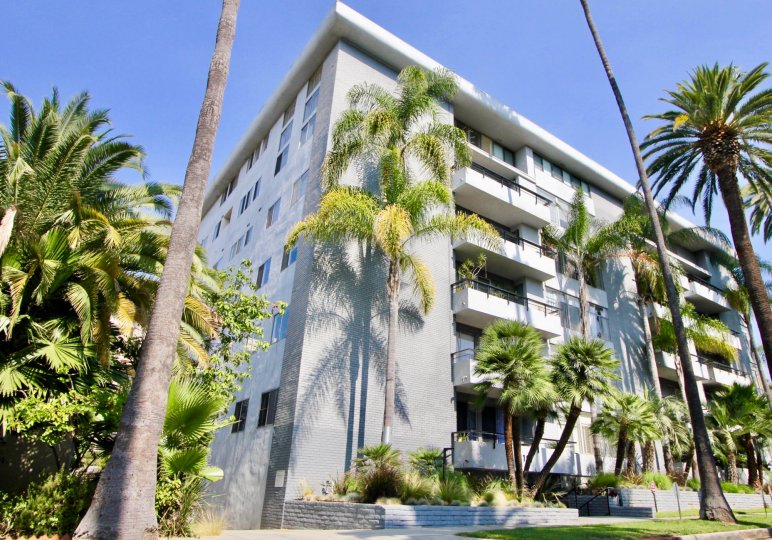 Palm Savoy Condos, Lofts & Townhomes For Sale Palm Savoy Real Estate