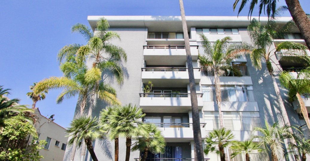 Palm Savoy Condos, Lofts & Townhomes For Sale Palm Savoy Real Estate
