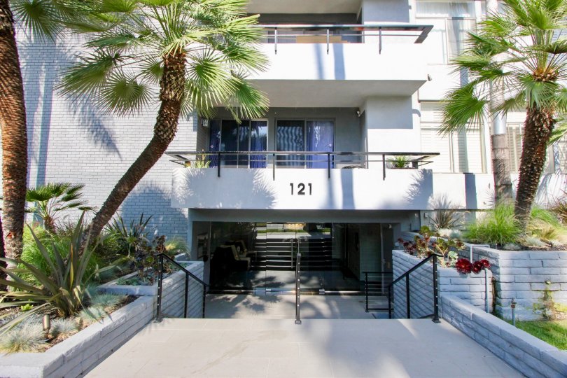 Palm Savoy Condos, Lofts & Townhomes For Sale Palm Savoy Real Estate