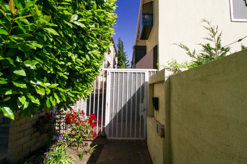 11634 Gorham Condos, Lofts & Townhomes For Sale 11634 Gorham Real