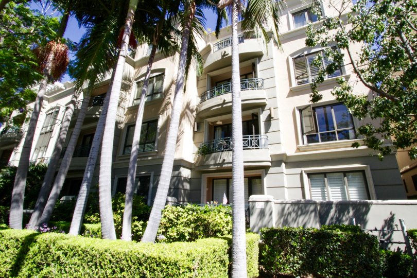 Brentwood Park Condos, Lofts & Townhomes For Sale Brentwood Park Real