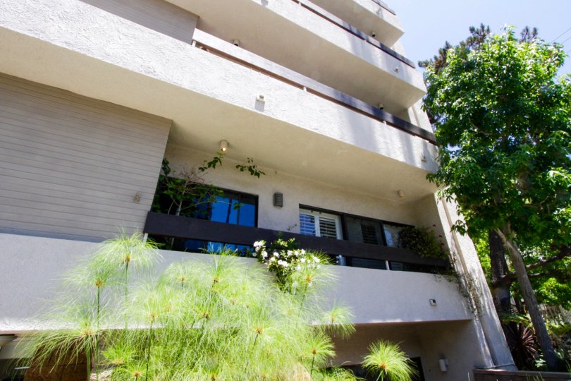 Brentwood Tower Condos, Lofts & Townhomes For Sale Brentwood Tower