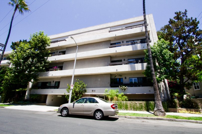 Brentwood Tower Condos, Lofts & Townhomes For Sale Brentwood Tower