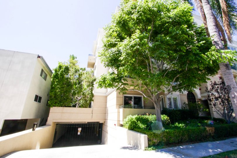 Dorothy Court Condos Lofts Townhomes For Sale Dorothy Court Real