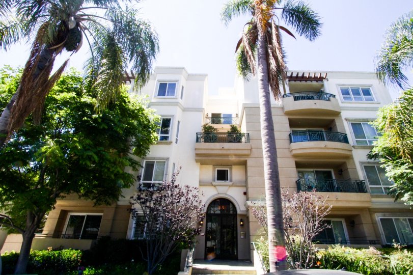 Dorothy Court Condos Lofts Townhomes For Sale Dorothy Court Real