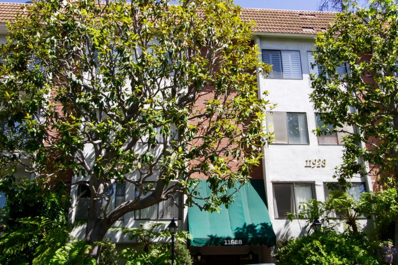 Elegance Kiowa Condos, Lofts & Townhomes For Sale Elegance Kiowa Real