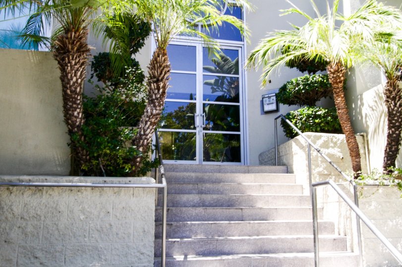 Halleys CometN Condos, Lofts & Townhomes For Sale Halleys Comet