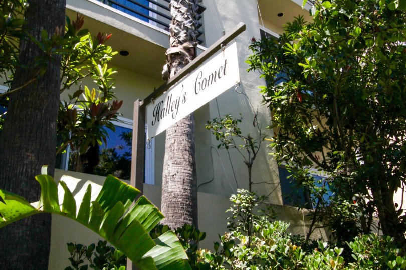 Halleys comet Condos, Lofts & Townhomes For Sale Halleys comet Real