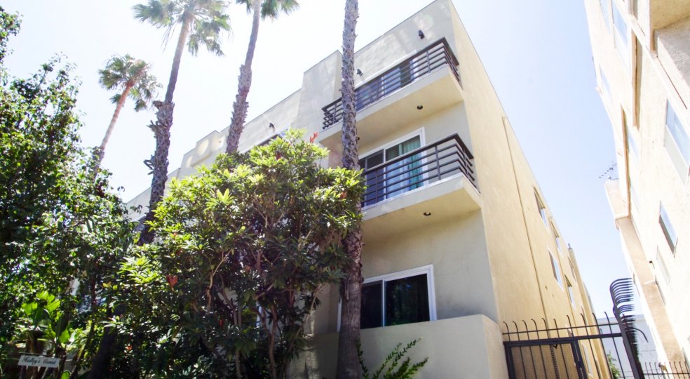 Halleys comet Condos, Lofts & Townhomes For Sale Halleys comet Real