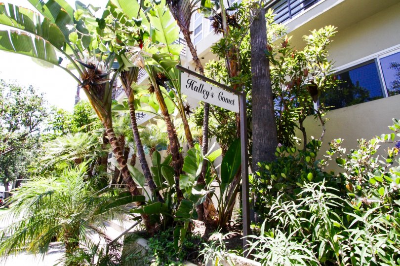 Halleys Comet Condos, Lofts & Townhomes For Sale Halleys Comet Real