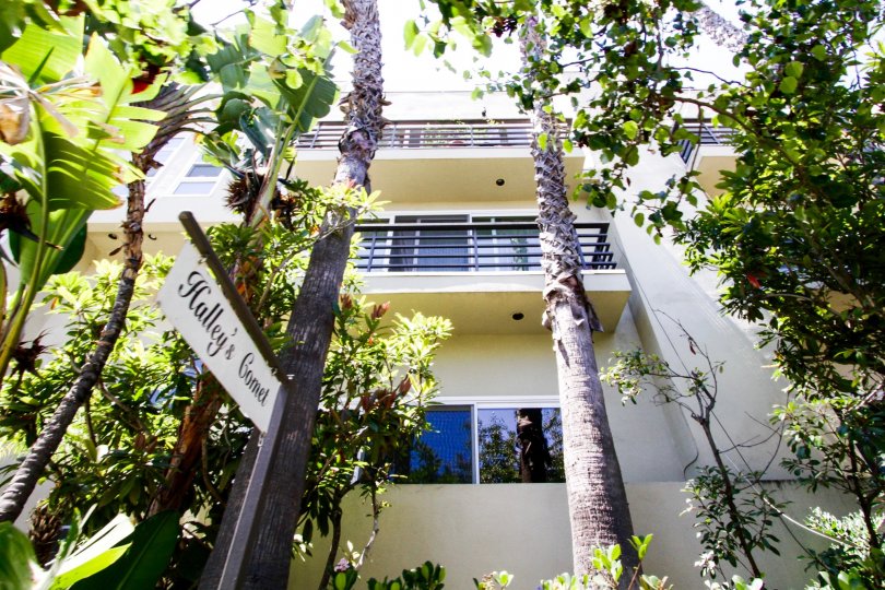 Halleys comet Condos, Lofts & Townhomes For Sale Halleys comet Real