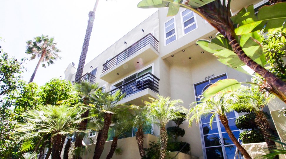 Halleys comet Condos, Lofts & Townhomes For Sale Halleys comet Real