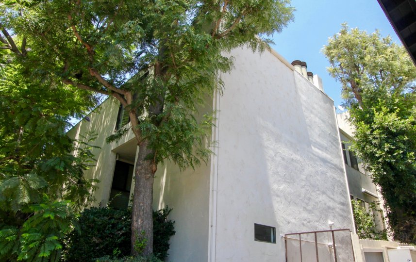 Bel Air Courtside Condos, Lofts & Townhomes For Sale Bel Air