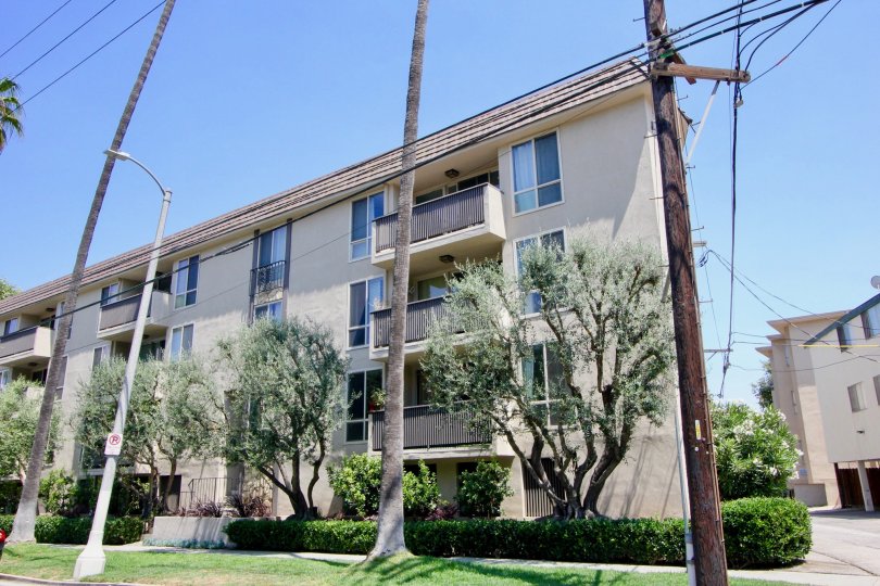 Brentwood Sycamore Condos, Lofts & Townhomes For Sale Brentwood Sycamore Real Estate