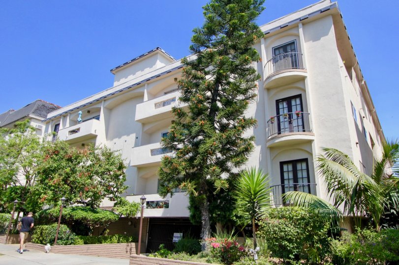 Mayfield Plaza Condos, Lofts & Townhomes For Sale Mayfield Plaza Real