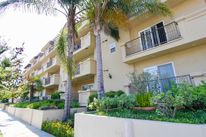 Mayfield Villa Condos, Lofts & Townhomes For Sale Mayfield Villa Real