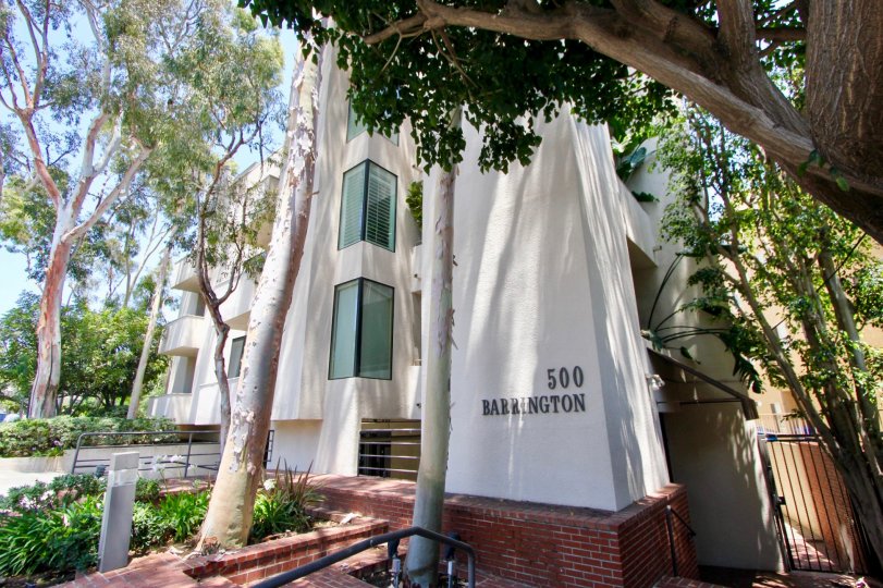 VIP Barrington Condos, Lofts & Townhomes For Sale VIP Barrington Real