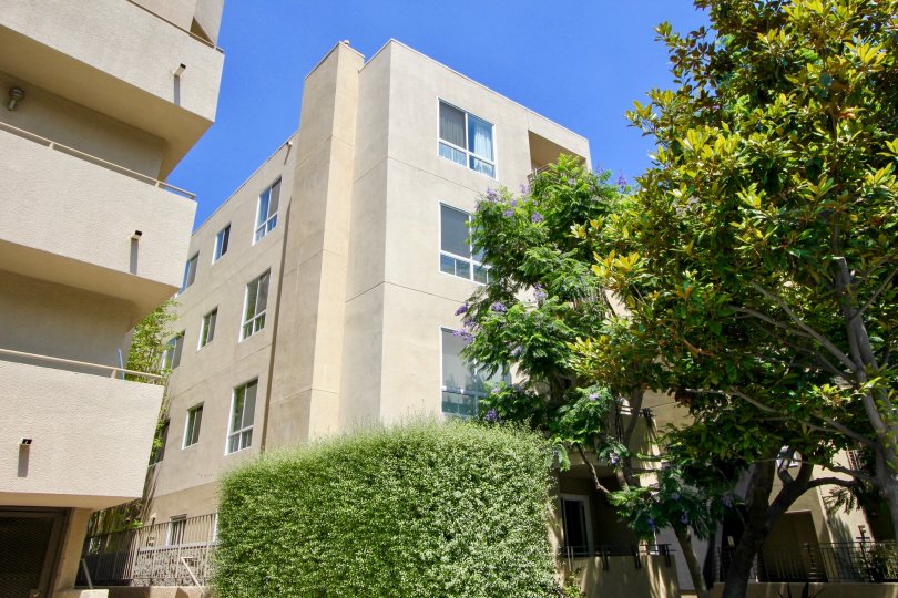 Wellesley Manor Condos, Lofts & Townhomes For Sale Wellesley Manor