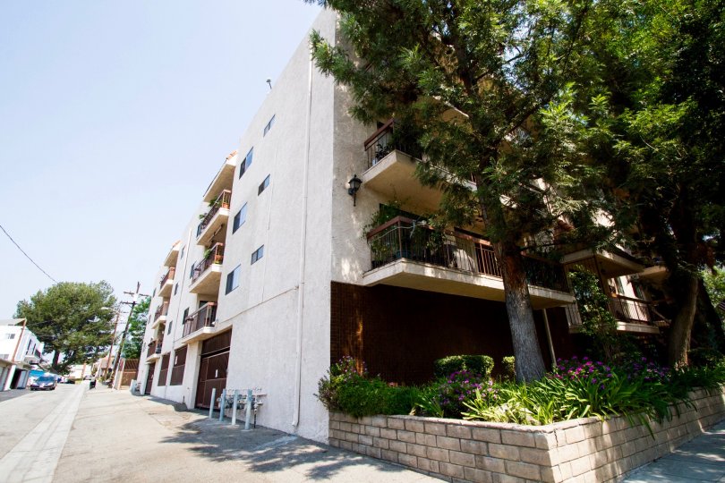 619 E Elmwood Ave Condos, Lofts & Townhomes For Sale 619 E Elmwood