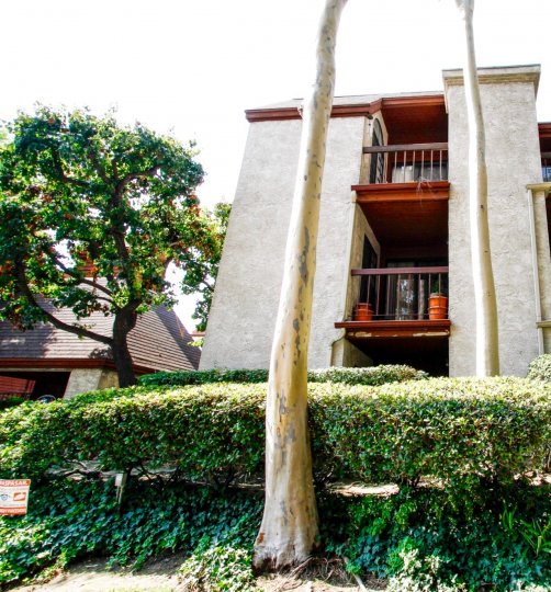 Bethany Woods North Condos, Lofts & Townhomes For Sale Bethany Woods