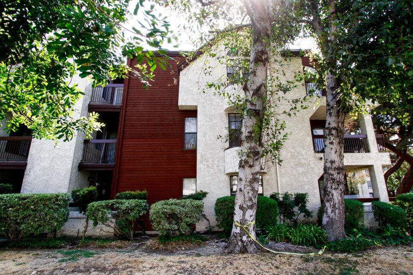 Bethany Woods South Condos, Lofts & Townhomes For Sale Bethany Woods South Real Estate