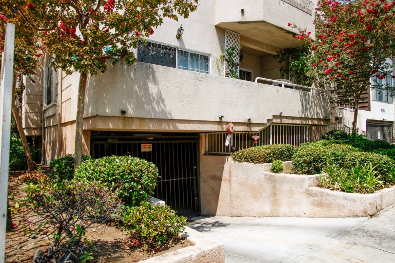 Olive Townhomes Condos, Lofts & Townhomes For Sale Olive Townhomes