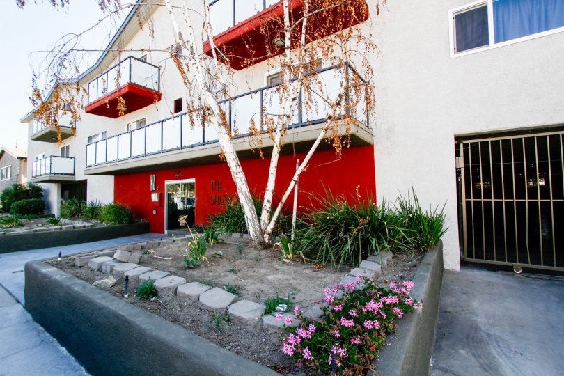 Shelton Manor Condos, Lofts & Townhomes For Sale Shelton Manor Real