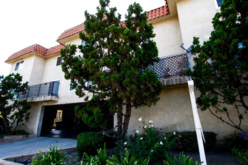 Sunrise Manor Condos, Lofts & Townhomes For Sale Sunrise Manor Real