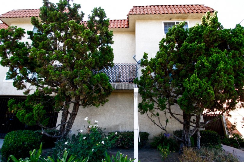 Sunrise Manor Condos, Lofts & Townhomes For Sale Sunrise Manor Real