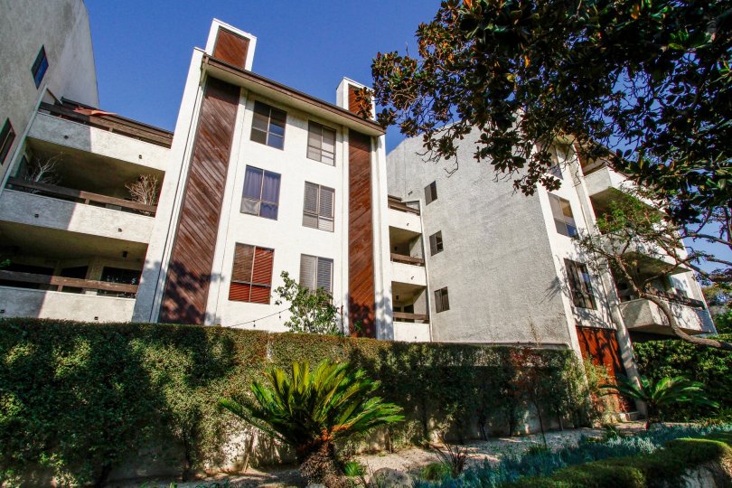 Toluca Village Condos, Lofts & Townhomes For Sale Toluca Village Real Estate Toluca Village