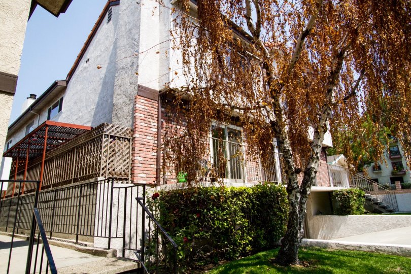 Tujunga Heights Condos, Lofts & Townhomes For Sale Tujunga Heights