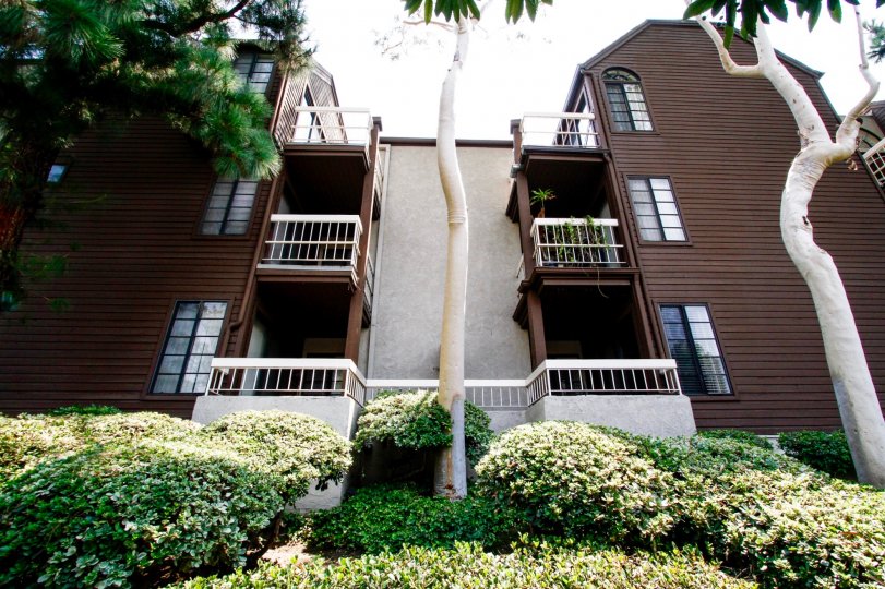 Woodside Manor Condos, Lofts & Townhomes For Sale Woodside Manor Real