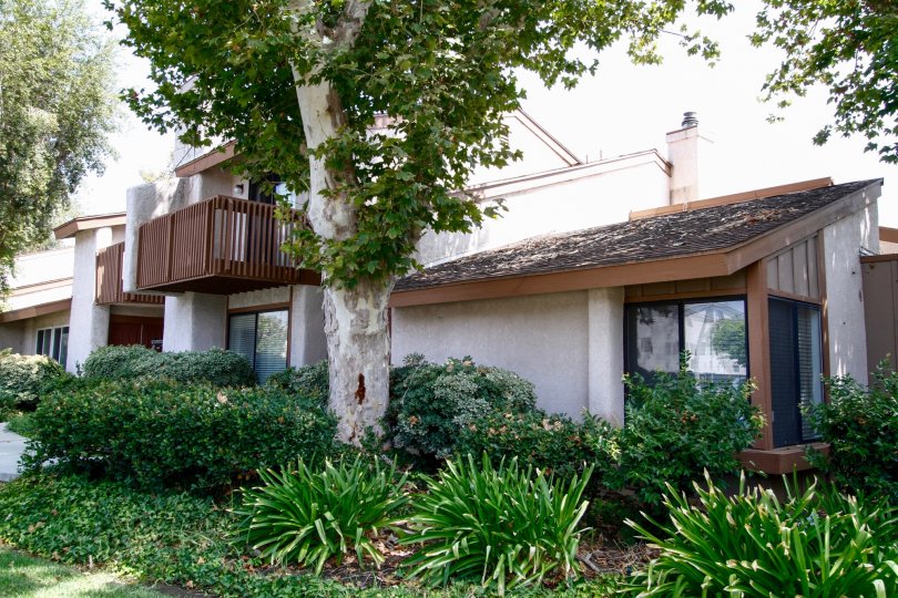 Woodlands De Soto Condos, Lofts & Townhomes For Sale Woodlands De