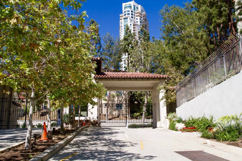 The Enclave at Century Woods Condos, Lofts & Townhomes For Sale The