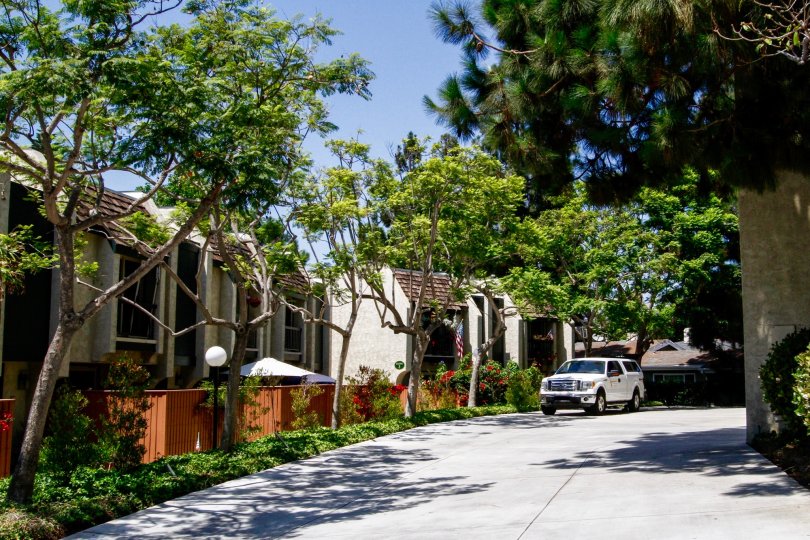 Beverlywood West Condos, Lofts & Townhomes For Sale Beverlywood West