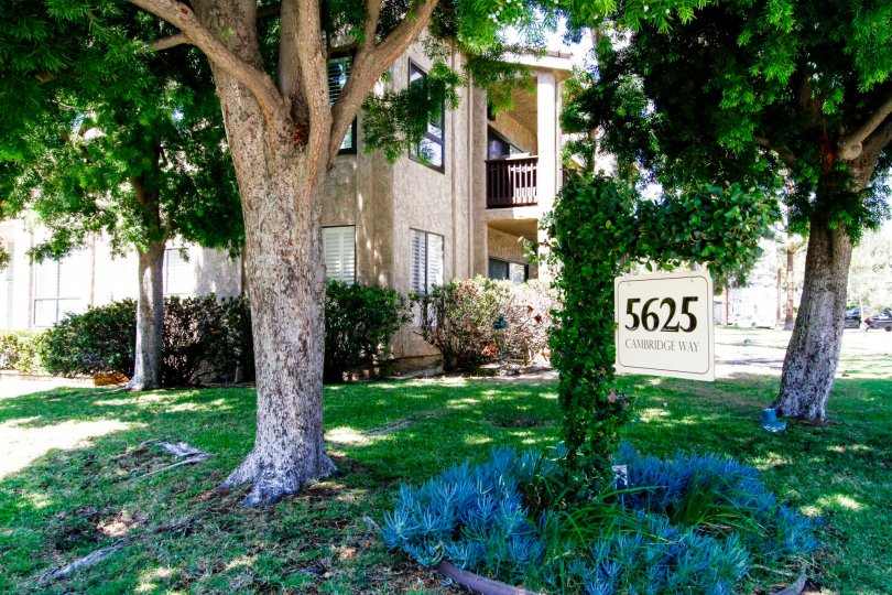 Fox Hills View Condos, Lofts & Townhomes For Sale Fox Hills View Real