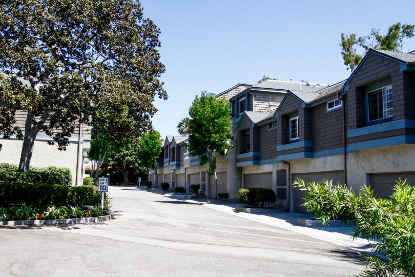 Foxgate Condos, Lofts & Townhomes For Sale Foxgate Real Estate