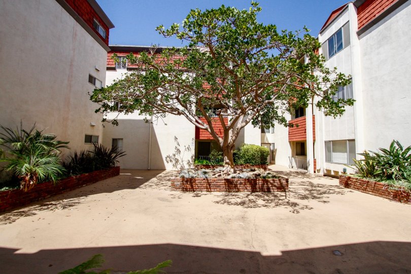 French Quarter Condos, Lofts & Townhomes For Sale French Quarter Real