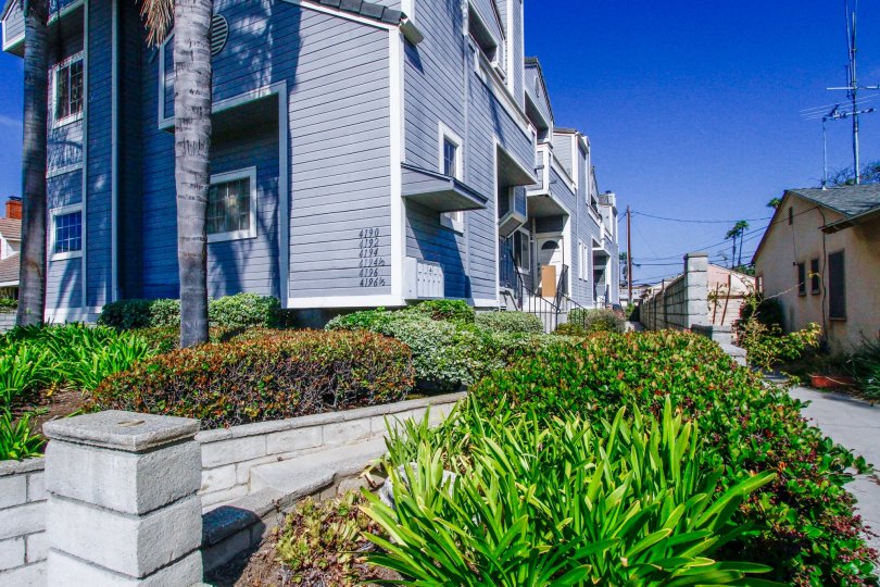 Pegasus Condominiums Condos, Lofts & Townhomes For Sale Pegasus