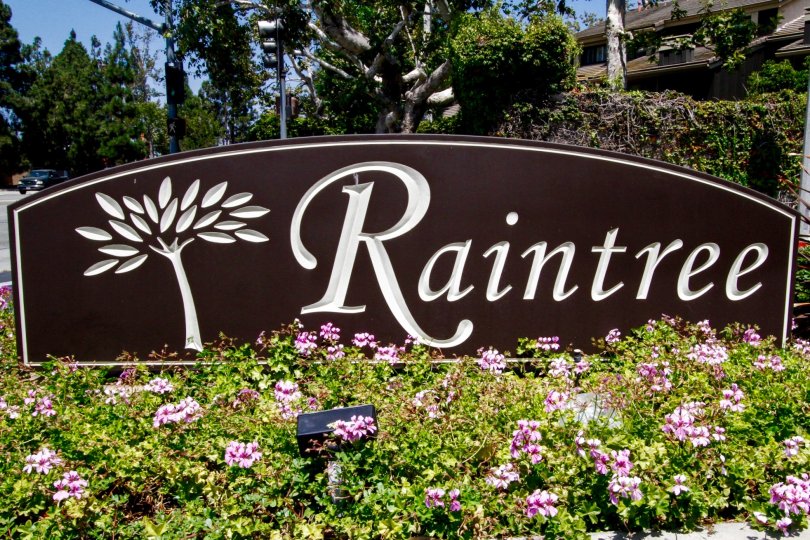 Raintree Condominiums Condos, Lofts & Townhomes For Sale Raintree