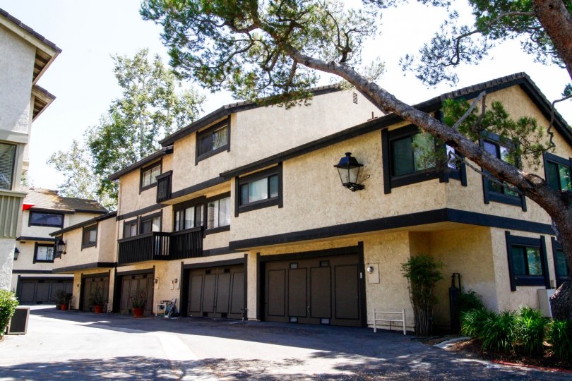 Raintree Condominiums Condos, Lofts & Townhomes For Sale Raintree