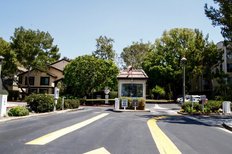 Raintree Condominiums Condos, Lofts & Townhomes For Sale Raintree