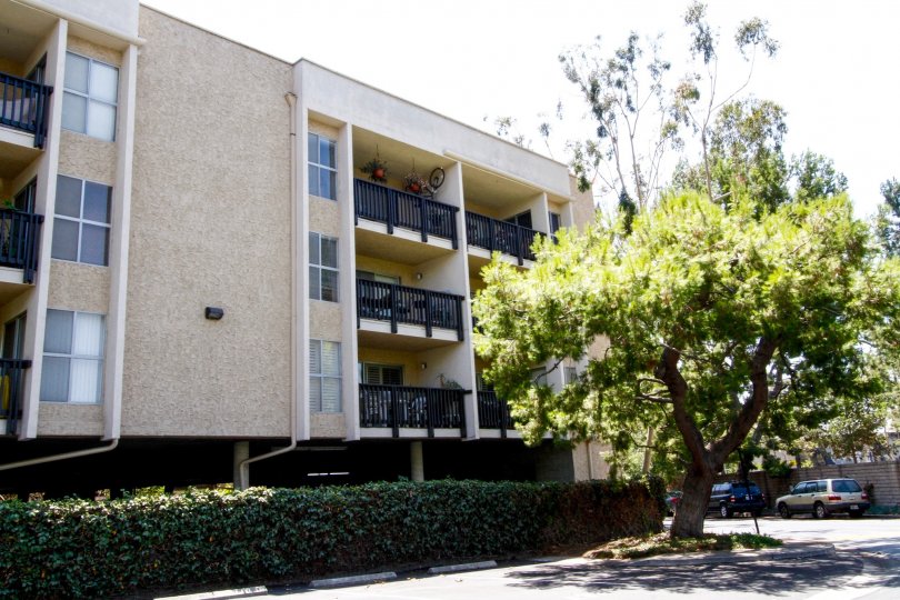 Raintree Condos For Sale