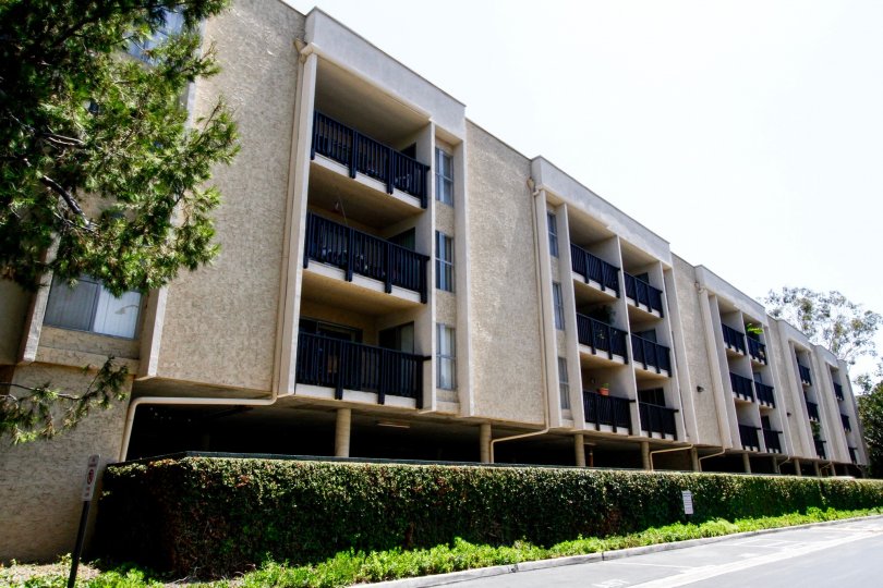 Raintree Condominiums Culver City